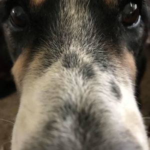 Meet your Posher, Katharine